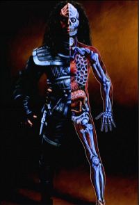 Klingonische Anatomie.jpg