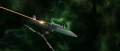 Enterprise-E greift mit Romulanern die Scimitar an.jpg