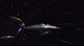 Enterprise auf der Flucht.jpg