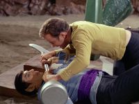 Kirk und Spock kämpfen.jpg