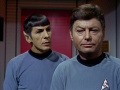 Spock und McCoy beginnen zu streiten.jpg