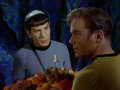 Spock untersucht das Bruchstück der Mutterhorta.jpg