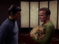 Spock sorgt sich um Kirk.jpg