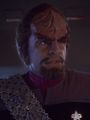 Hologramm von Worf 2374.jpg