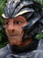 Hirogen (2377) 2.jpg