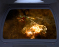 Das klingonische Zivilistenschiff wurde zerstört.jpg