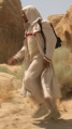 Sisko läuft durch die Wüste.jpg