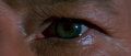 Jean Luc Picards Auge.jpg
