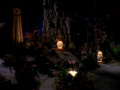 Odo und Kira im Arboretum.jpg