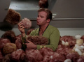 Kirk mit Tribbles.jpg