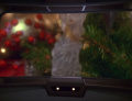 Weihnachtsbaum auf dem Hauptbildschirm.jpg
