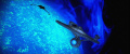 Enterprise im Orbit von Sha Ka Ree.jpg