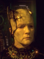 Janeway Borg.jpg